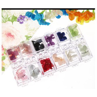 Set 12 màu hoa khô Nhật Bản trang trí móng