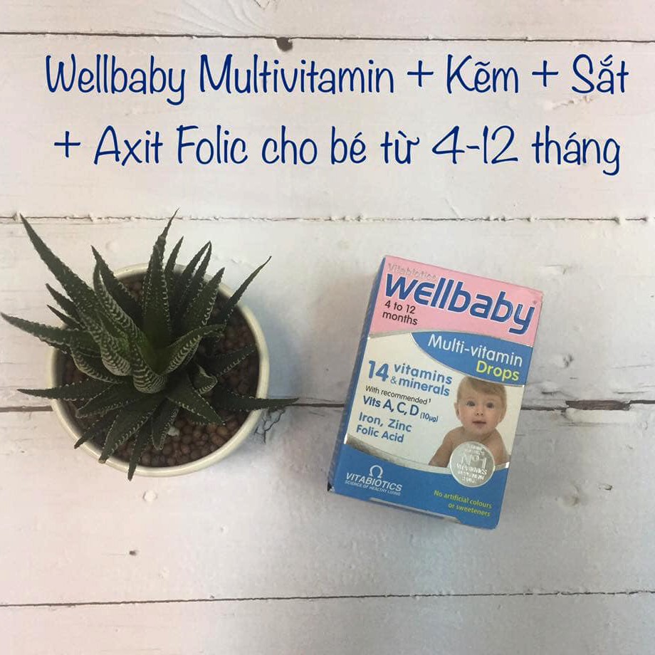 Vitamin tổng hợp cho bé từ 4 tháng Wellbaby Drops - 30ml