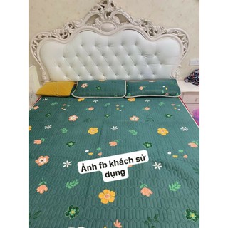 Chiếu điều hoà cao su non