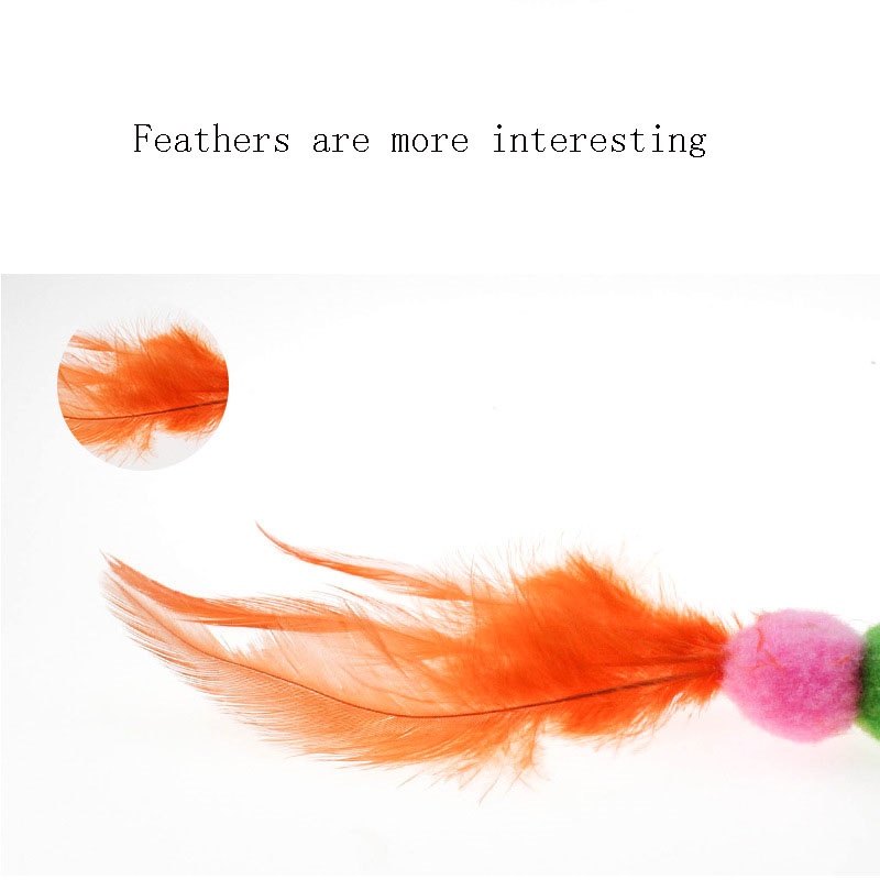 Que vợt thú cưng vui nhộn bằng lông nhung kết hợp thép dẻo dai hình con sâu bướm ngộ nghĩnh