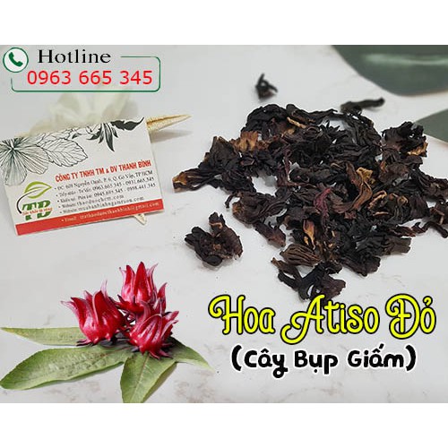 Hoa Atiso Đỏ Khô 500g (Cây Bụp Giấm) - Hàng Công Ty