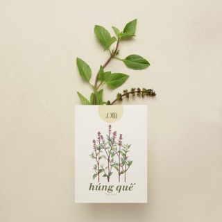 Hạt giống non-GMO - Cây Húng Quế | non-GMO Basil