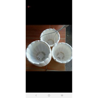Chậu hình bí tặng quai treo phi 22cm cao 15cm mầu trắng đẹp