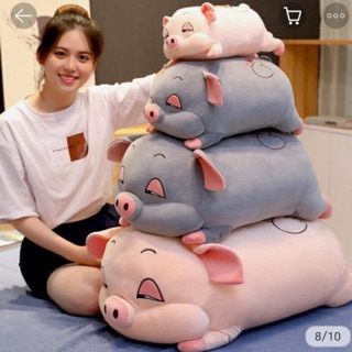 Con lợn bông