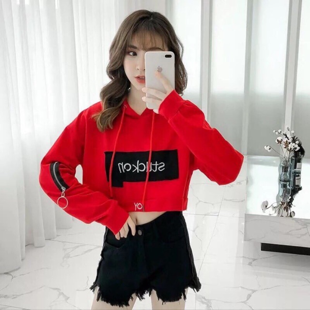 Áo croptop tay dài hót sckick