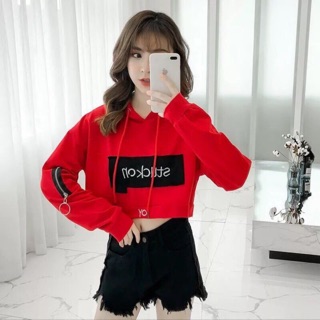 Áo croptop tay dài hót sckick