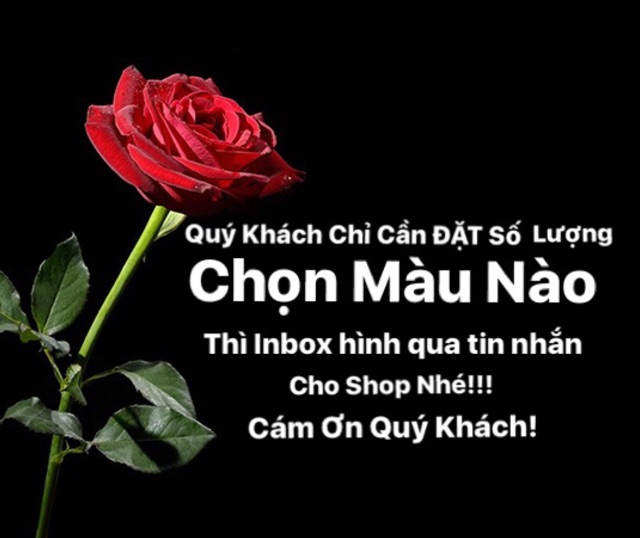 Áo Thun Nam Vạt Xéo (Màu : Đen, Trắng, Xám, Đỏ đô) - 100% Hình Thật