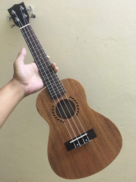 ĐÀN UKULELE CONCERT VIỀN LÚA