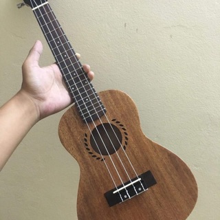 ĐÀN UKULELE CONCERT VIỀN LÚA