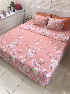 SET CHĂN GA GỐI COTTON POLY TRẦN BÔNG
