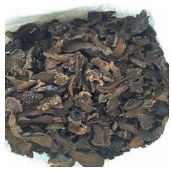 1 Kg nấm ngọc cẩu khô đặc sản Tây Bắc