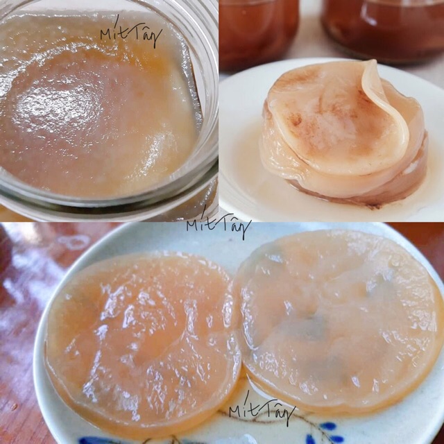 Nấm KOMBUCHA Nấm Thuỷ Sâm SCOBY KOMBUCHA