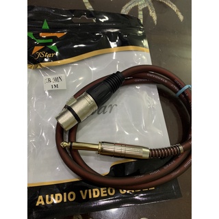 Dây cắm micro xlr đầu 6.5ly dài 1m
