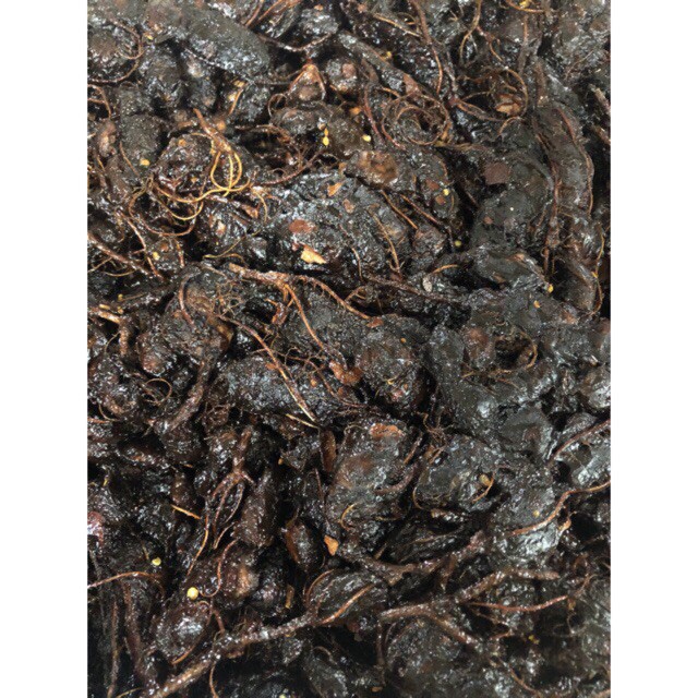 500gram Ô mai me xào