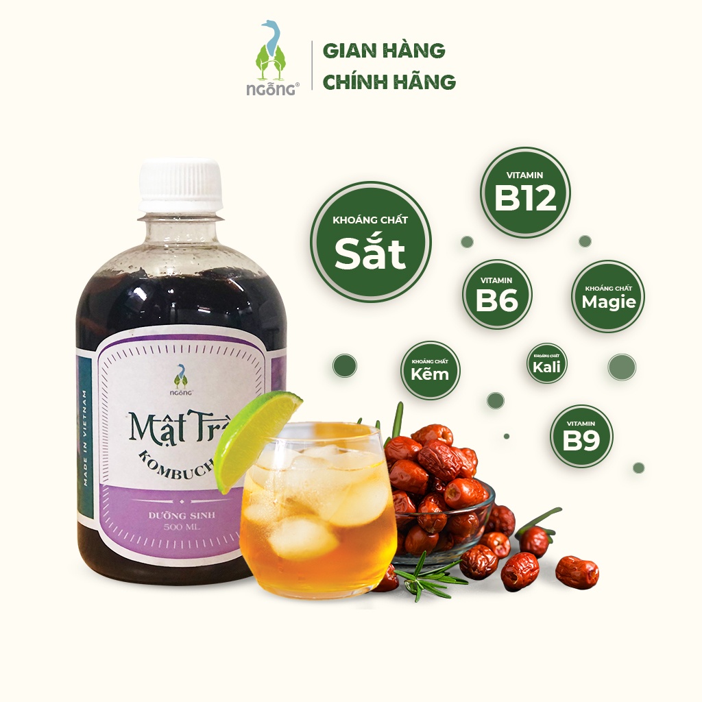 (MUA 3 TẶNG 1) Mật trà Kombucha Dưỡng sinh 500ml | BigBuy360 - bigbuy360.vn