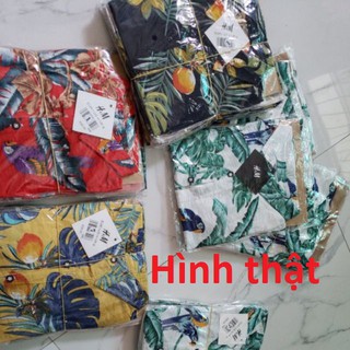 [Hình thật] Sơ mi đũi bé trai