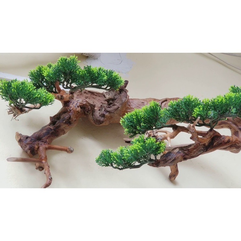 Cành cây Tùng - cành Tùng nhựa trang trí cây giả và bể cá cảnh