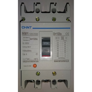 Aptomat khối mccb chint nm1-125c/3300 100a