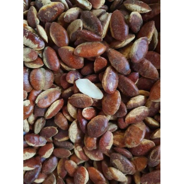 500G HẠT KƠ NIA ĐẶC SẢN TÂY NGUYÊN.