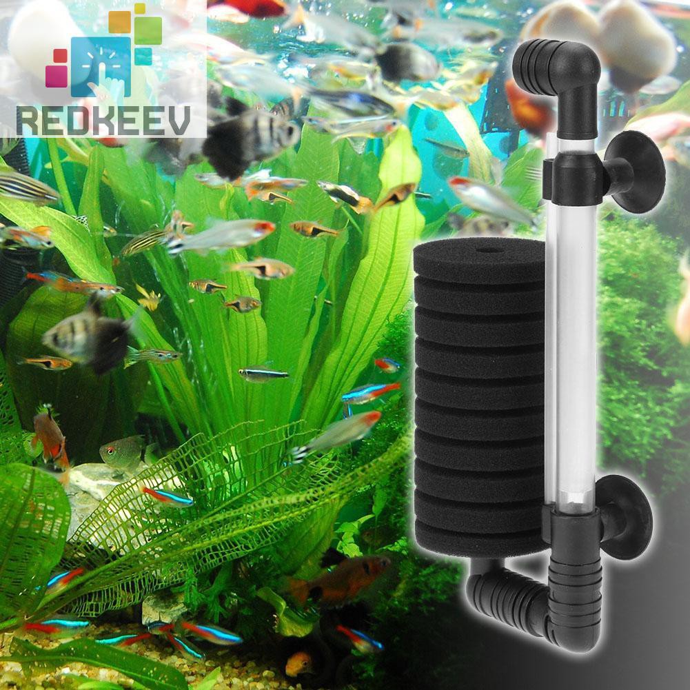 Bộ Lọc Nước Cho Bể Cá Redkeev 1.13 Bio