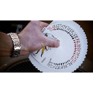 Bộ Bài Tây Tally-Ho Playing Cards, Thẻ Sưu Tập Bicycle, Trò Chơi Thẻ Ma Thuật, Đạo Cụ Ảo Thuật Cho Nhà Ảo Thuật
