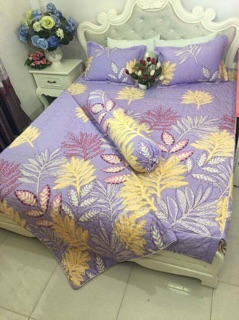 Set vỏ chăn ga trần bông