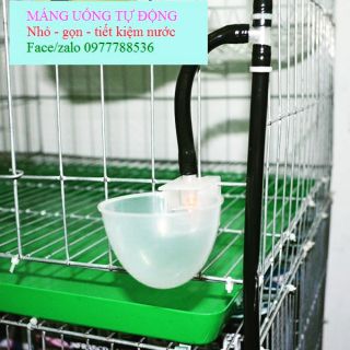 Máng nước tự động và T nối cho gà - bồ câu -Mua 10 tặng 1