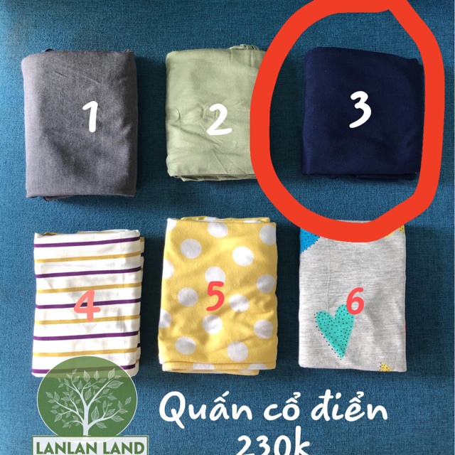 Chũn quấn cocoon