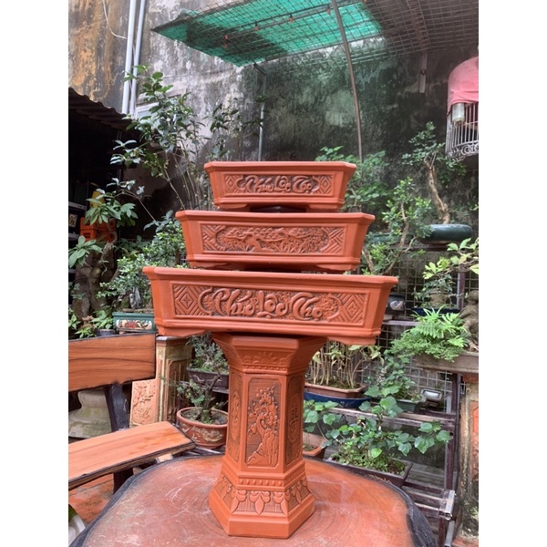 Chậu chữ nhật trồng cây bonsai và đôn kê chậu