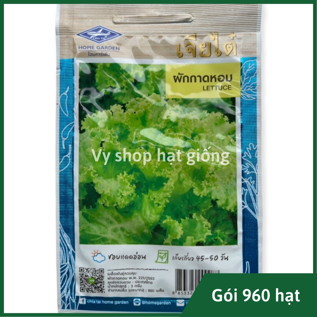 Hạt giống rau xà lách xoăn xanh Thái Lan gói 960 hạt