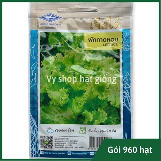 Hạt giống rau xà lách xoăn xanh Thái Lan gói 960 hạt