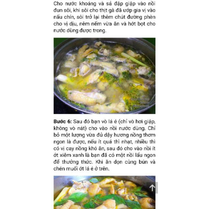 LÁ É TƯƠI ĐẶC SẢN PHÚ YÊN | BigBuy360 - bigbuy360.vn