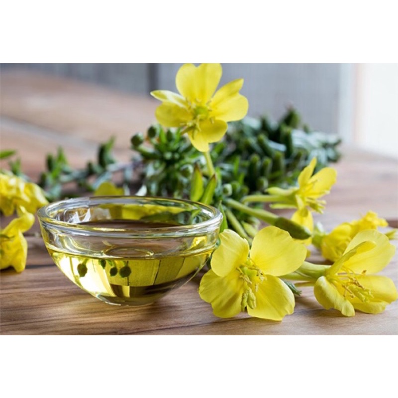 Evening primrose oil - dầu hoa anh thảo organic ép lạnh nguyên chất