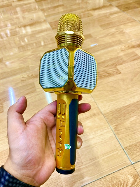 [Mã ELHACE giảm 4% đơn 300K] Mic Hát Karaoke SD-10