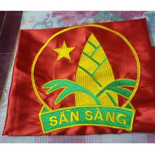 Cờ Đoàn, nước, Đội thêu theo mẫu chuẩn của  TW Đoàn