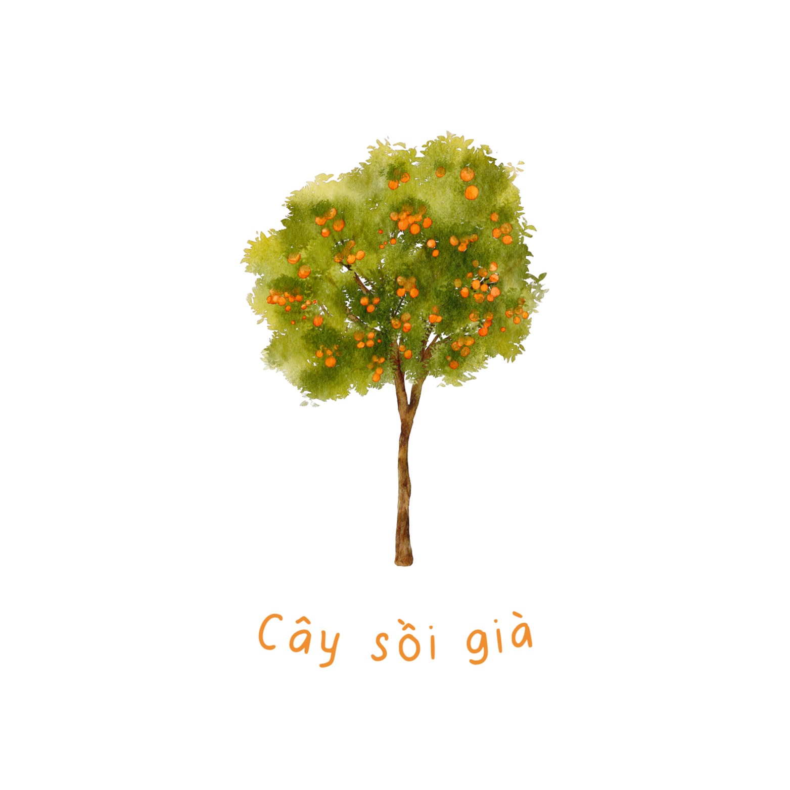 Cây Sồi Già