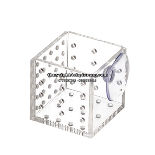 Cốc trồng cây thủy sinh | chén trồng cây acrylic ebi