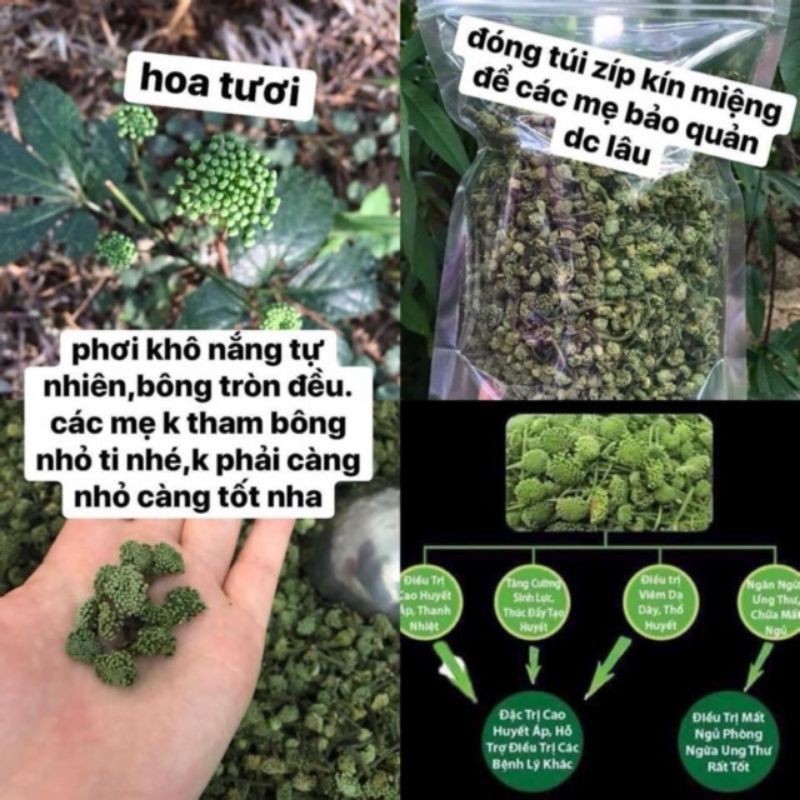 [SALE] Nụ hoa tam thất 500g chuẩn xịn nhất