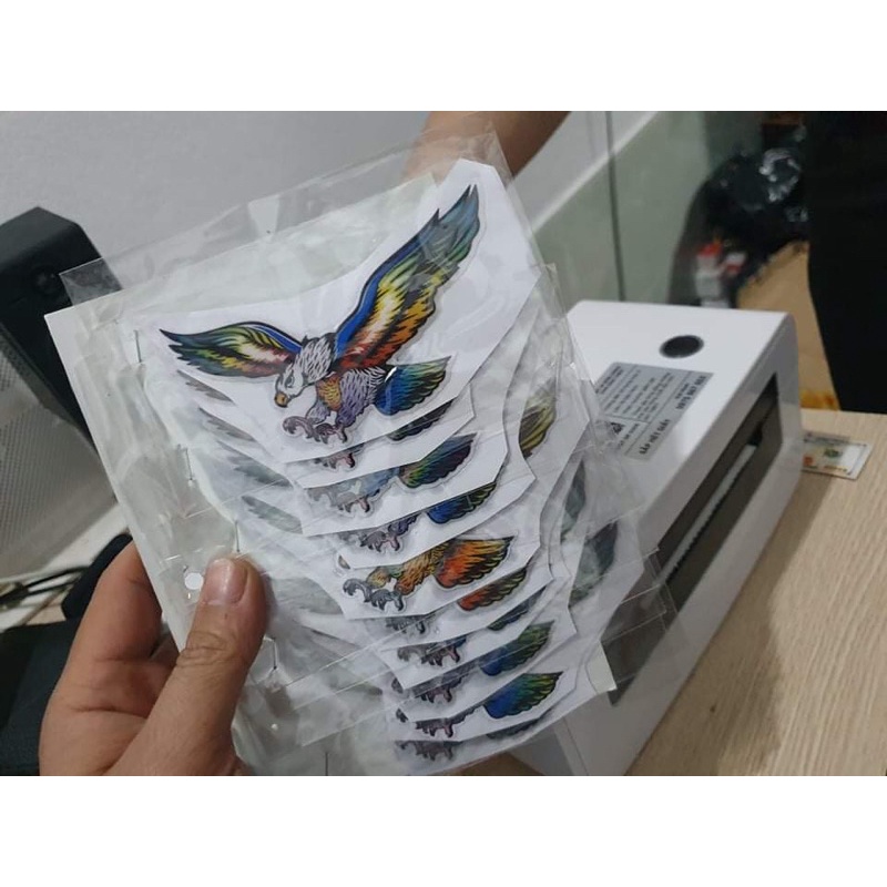 Decal dán xe hình đại bàng tem 3 lớp cực đẹp