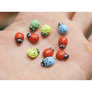 Combo 15 con bọ ngũ sắc