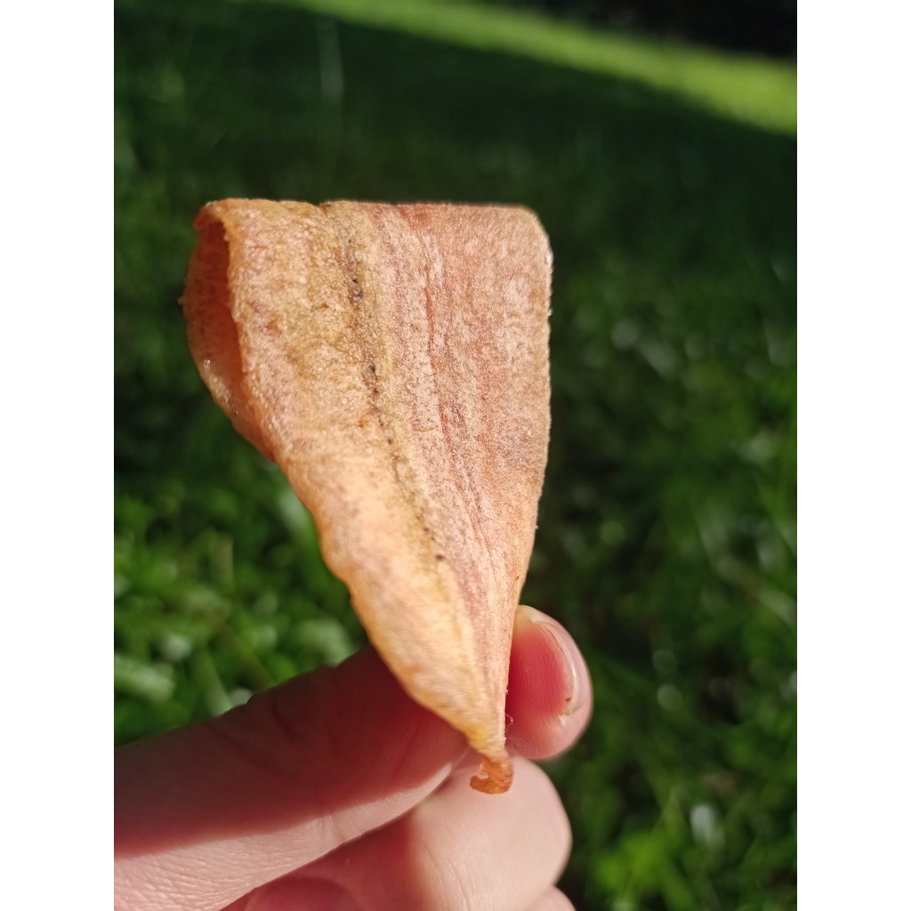 Chuối Sấy Giòn 100% KHÔNG ĐƯỜNG, SẤY MỘC TỰ NHIÊN - Dành Cho Người Ăn Kiêng