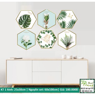 Decal Khung hình Lục giác Hoa