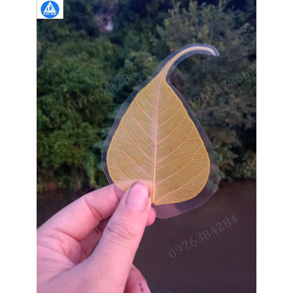 Lá bồ đề ép - ốp điện thoại | BigBuy360 - bigbuy360.vn