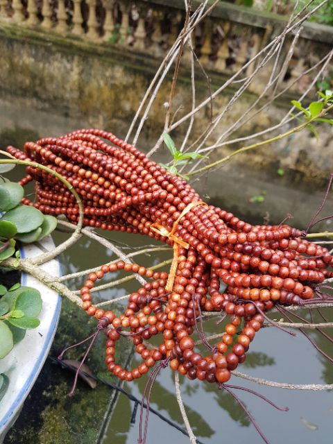 VÒNG TRÀNG GỖ GIÁNG HƯƠNG hạt tròn 5 li