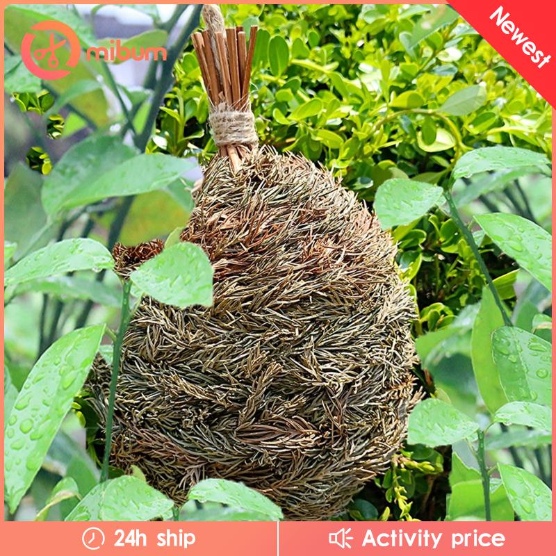 Tổ Chim Bằng Cỏ Dệt Thủ Công Bền Bỉ Treo Cửa Sổ / Ngoài Trời / Chim Ruồi