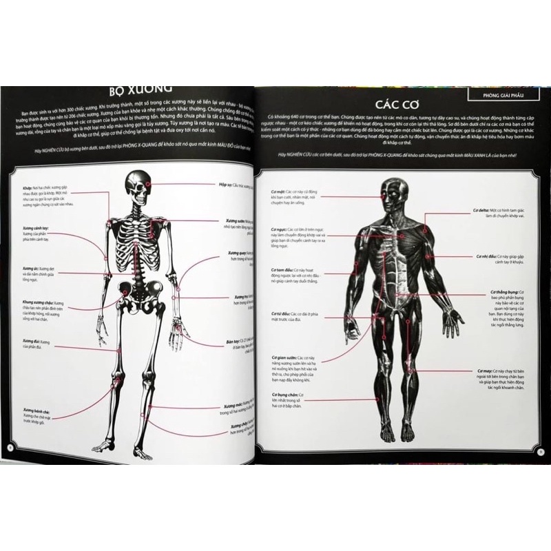 SÁCH - ILLUMANATOMY - Soi sáng Cơ thể người