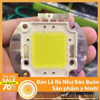 Nhân led 12v 20w