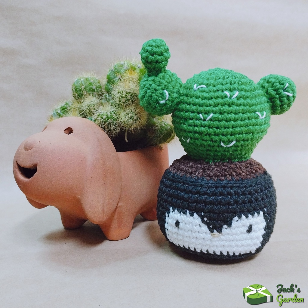 Chậu xương rồng trang trí bàn bằng len handmade