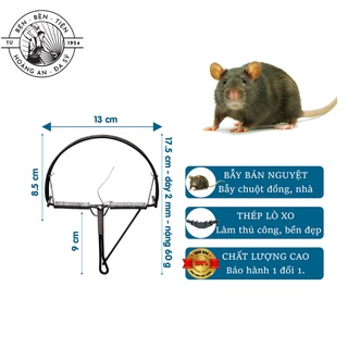 Bẫy chuột bán nguyệt. HL38