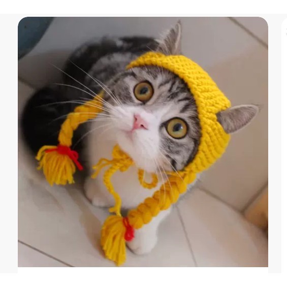 Bím tóc len xinh xắn cho thú cưng ❤️
